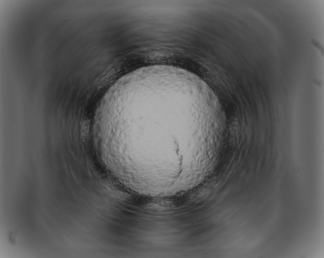 X0000091180278200709061000