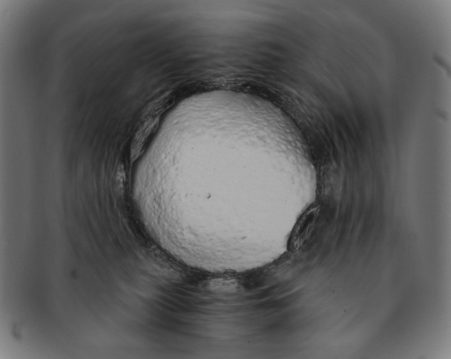 X0000091180279200709061000