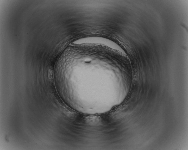 X0000091180281200709061000