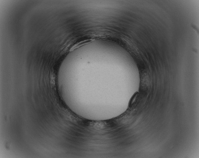 X0000091180282200709061000