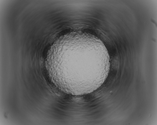 X0000091180283200709061000