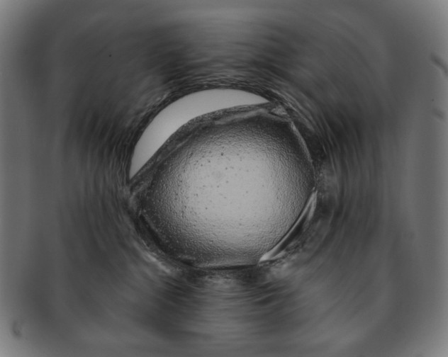X0000091180284200709061000