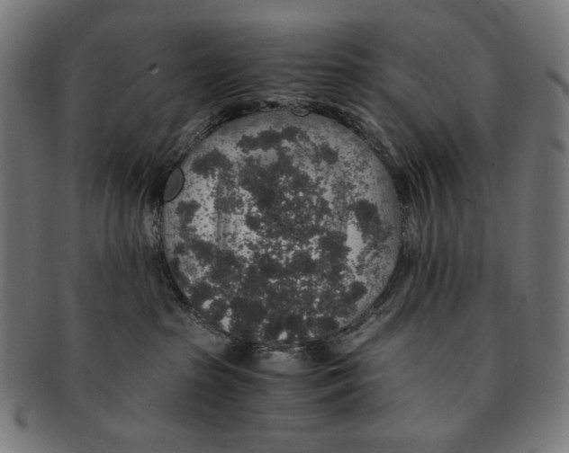 X0000091180285200709061000