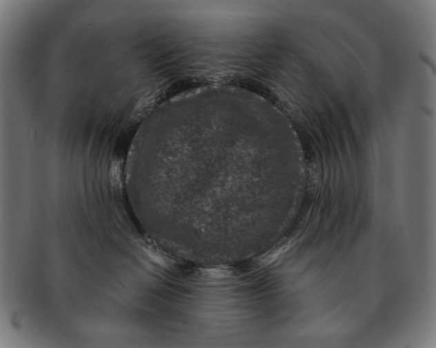 X0000091180286200709061000