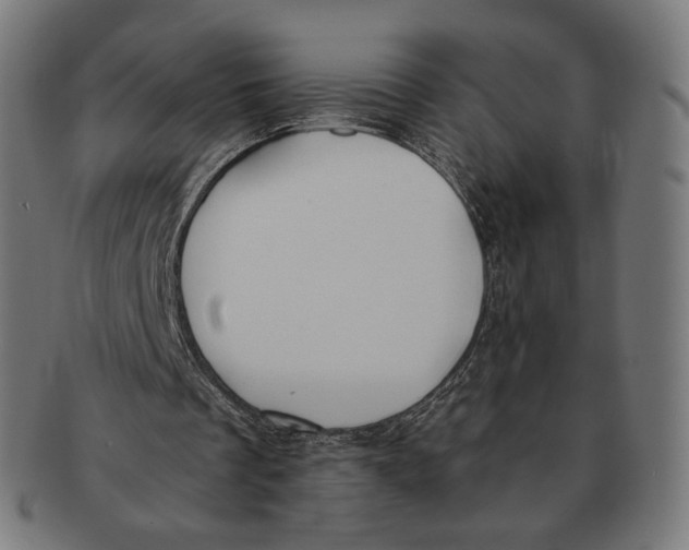X0000091180289200709060959