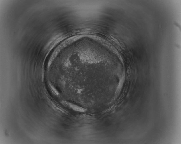 X0000091180290200709060959