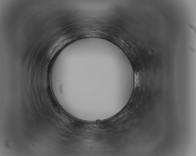 X0000091180291200709060959