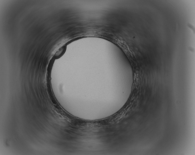 X0000091180292200709060959