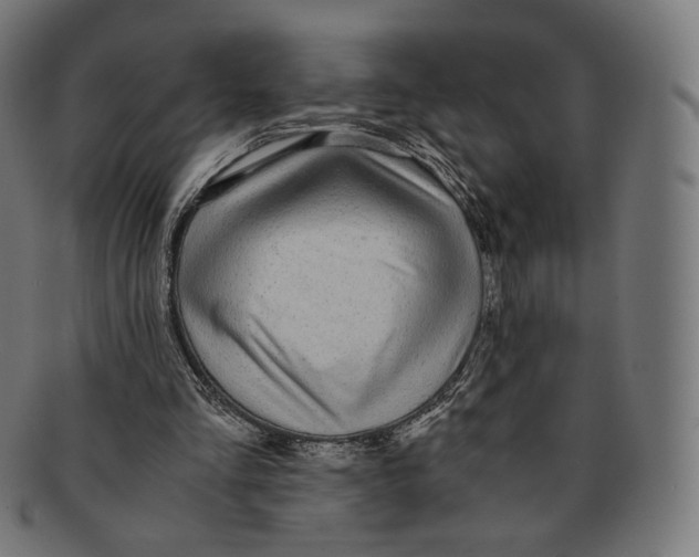 X0000091180293200709060959