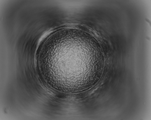 X0000091180294200709060959