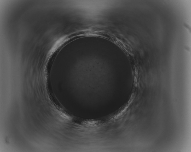 X0000091180295200709060959