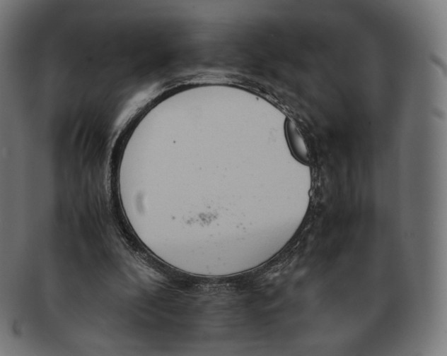 X0000091180296200709060959