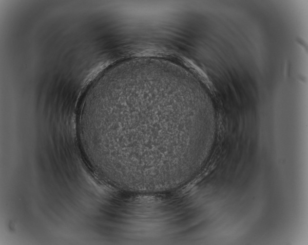 X0000091180298200709060959