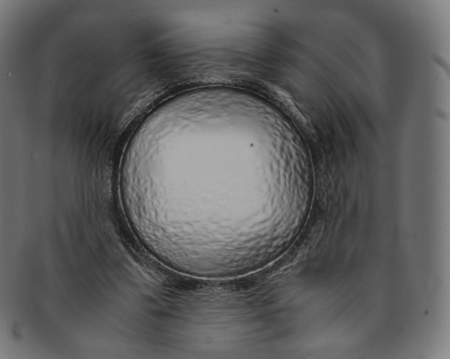 X0000091180299200709060959