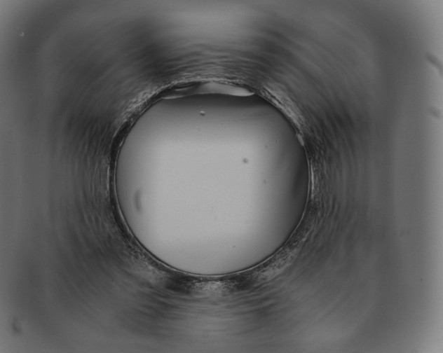 X0000091180301200709060959