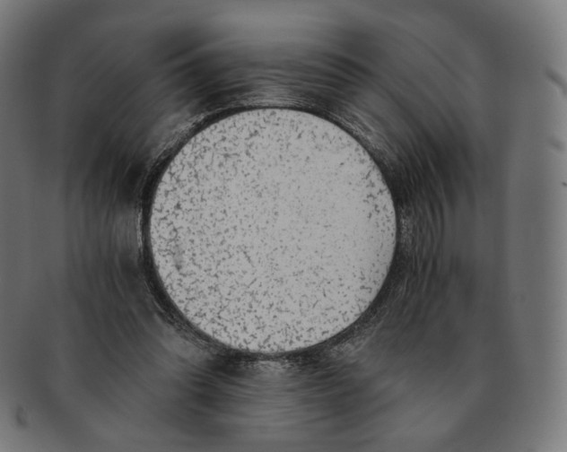 X0000091180302200709060959