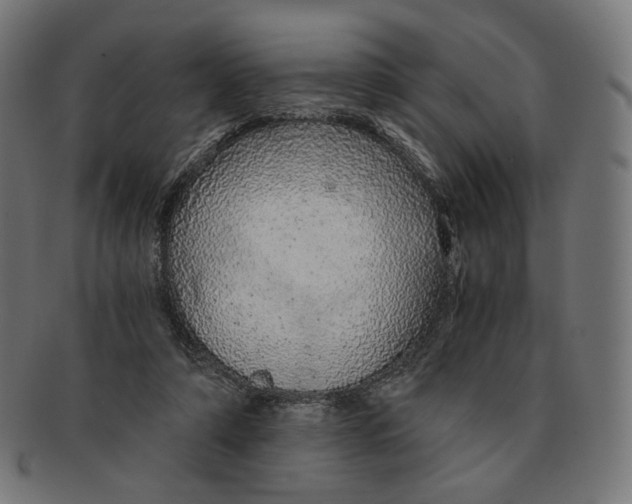 X0000091180306200709060959