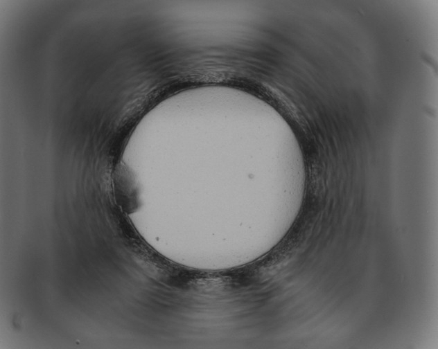 X0000091180307200709060959