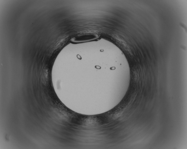 X0000091180308200709060959