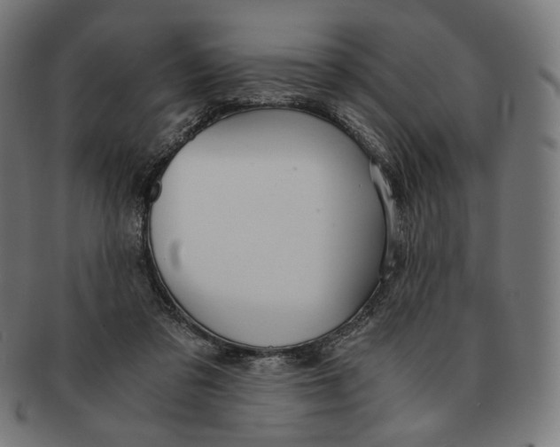 X0000091180309200709060959