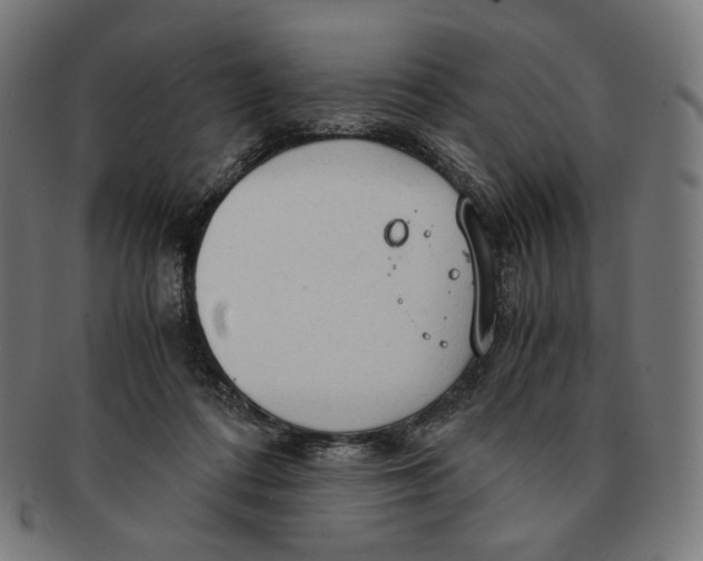 X0000091180312200709060959