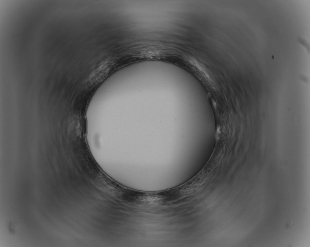 X0000091180313200709060959