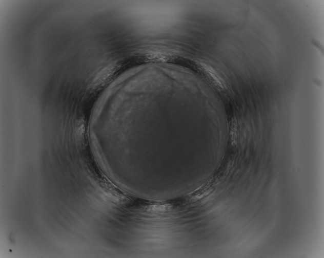 X0000091180314200709060959