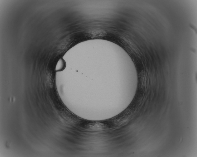 X0000091180316200709060959