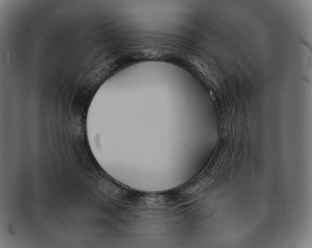 X0000091180317200709060959