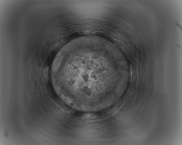X0000091180319200709060959