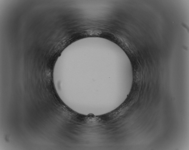 X0000091180321200709060959