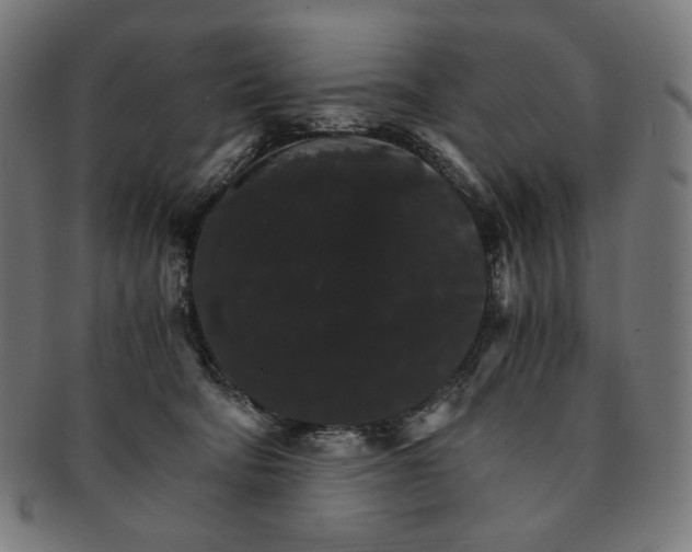 X0000091180322200709060959