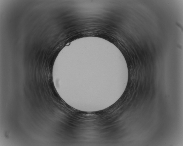 X0000091180324200709060959