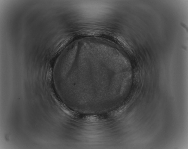X0000091180325200709060959