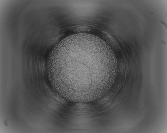 X0000091180326200709060959