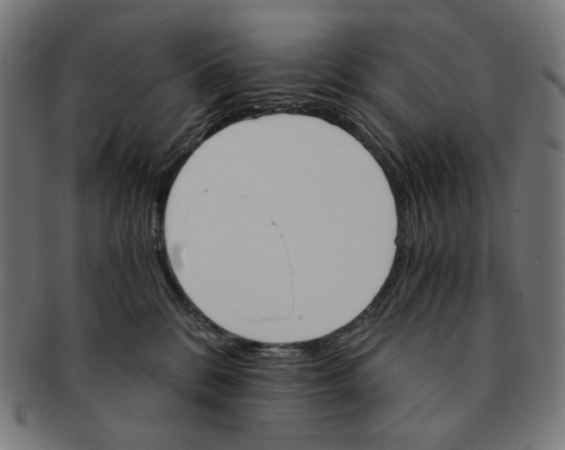 X0000091180328200709060959