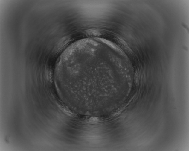 X0000091180330200709060959