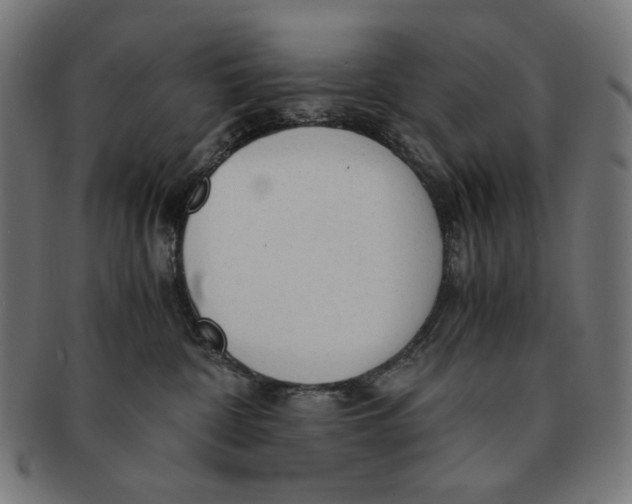 X0000091180332200709060959