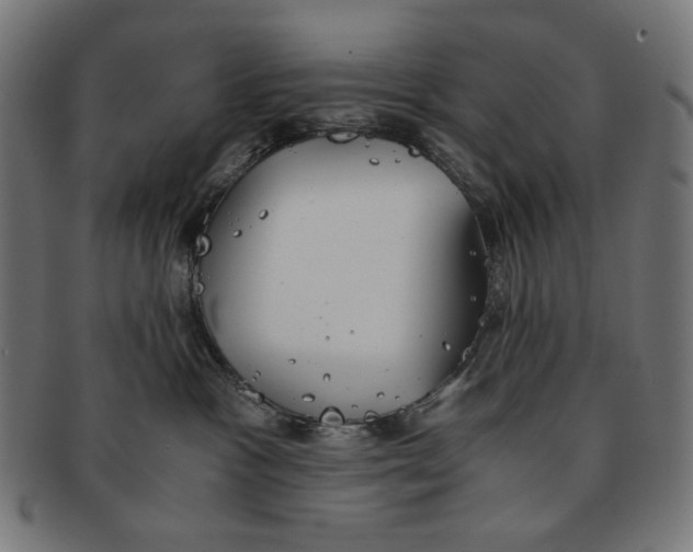 X0000091180333200709060959