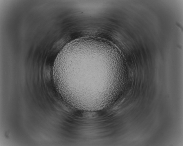 X0000091180334200709060959