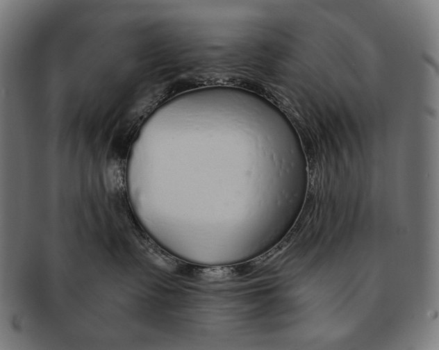 X0000091180335200709060959