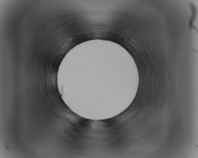 X0000091180336200709060959