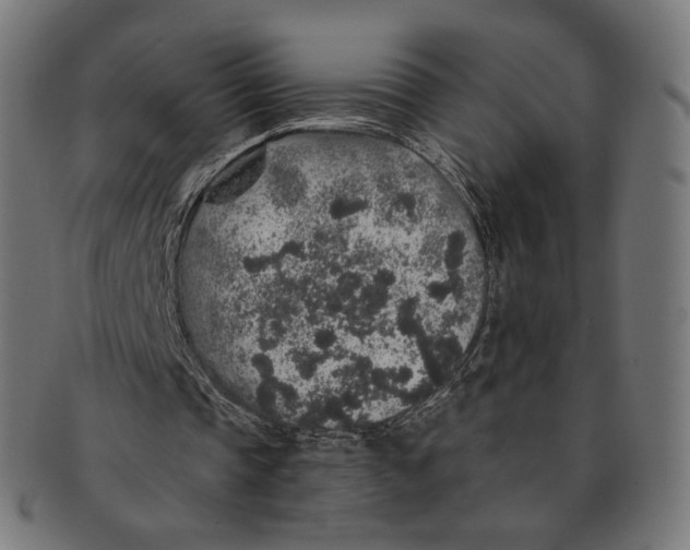 X0000091180337200709060958