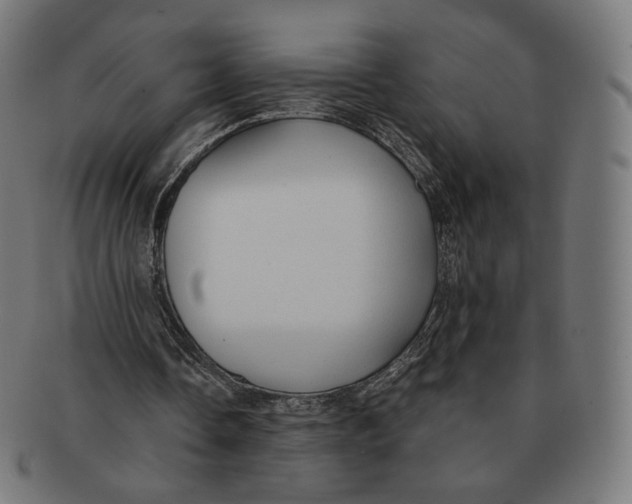 X0000091180338200709060958