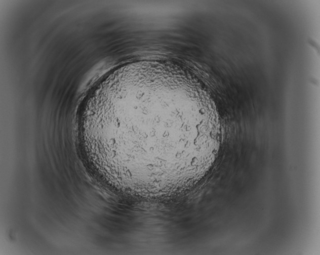 X0000091180339200709060958