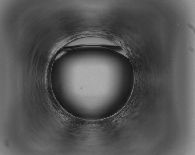X0000091180340200709060958