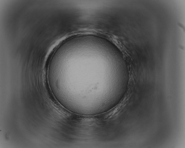 X0000091180342200709060958