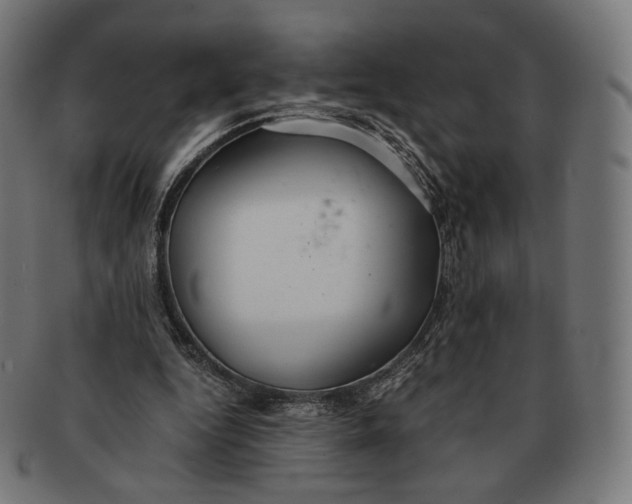 X0000091180344200709060958