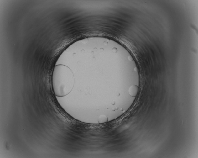 X0000091180345200709060958