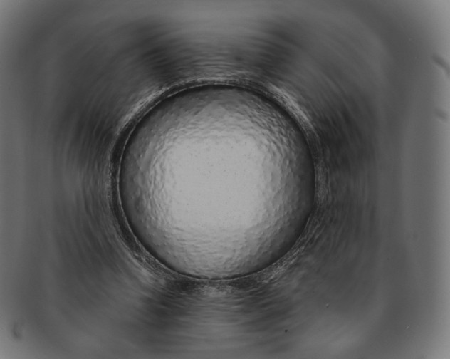 X0000091180346200709060958